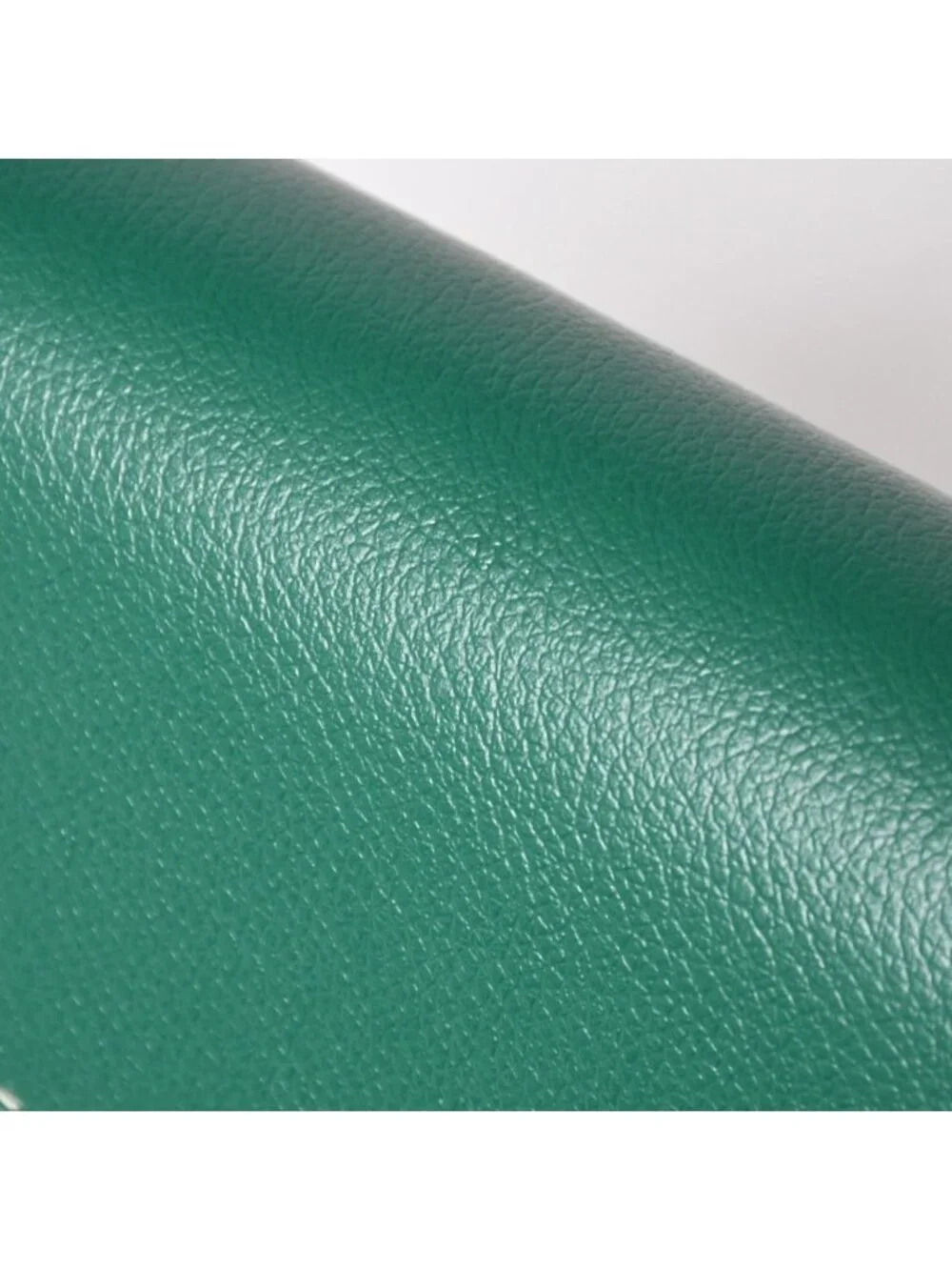 Goyard Chypre Sheepskin Pouch Wallet Shoulder Bag Green